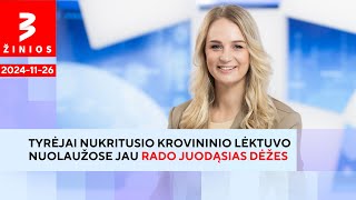 Atsiranda liudininkų kurie teigia matę liepsnas lėktuvui dar skrendant  TV3 Žinios [upl. by Leanor]