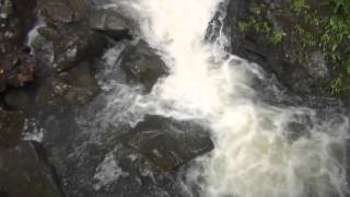 El Yunque Waterfall and River Relax Sounds [upl. by Zile]