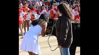 CUHS Homecoming Rally October 18 2024 [upl. by Franciskus888]