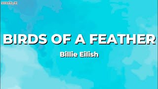 Billie Eilish  Birds of a feather Lyrics [upl. by Meyers878]