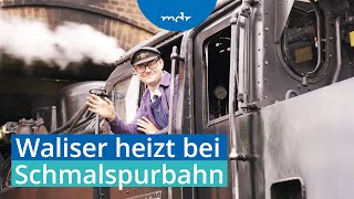 Neuer Heizer aus Wales bei der Harzer Schmalspurbahn  MDR SACHSENANHALT HEUTE  MDR [upl. by Hazmah]