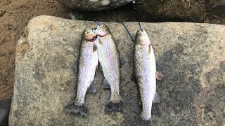 Mountain Trout Fishing with my Son  April 2024 [upl. by Bixler]