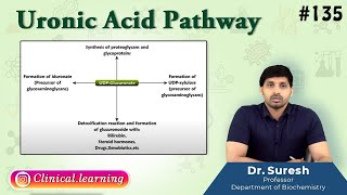 135 Uronic Acid Pathway [upl. by Evangelin]