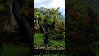 CHALATENANGO EL SALVADOR 🇸🇻 elsalvador shortvideo videos viralvideo [upl. by Dynah219]