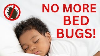 How to Get Rid of Bed Bugs and Sleep Like a Baby [upl. by Zuzana]