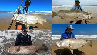 HOW TO MAKE A KOB TRACE HOW TO MAKE A TRACE FOR MULLOWAY SOUTH ARICAN KABELJOU [upl. by Retsbew]