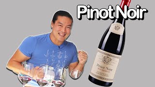 Run to a wine store to buy this right now 10 Pinot Noirs [upl. by Rosinski]