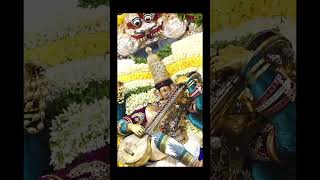 Saraswati song WhatsApp statussaraswatigodtamildevotionalsongshindugoddess [upl. by Annaul]