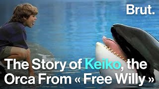 The Story of Keiko [upl. by Garik]