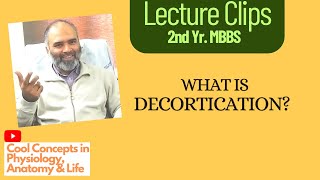 What is DECORTICATION  Neuroanatomy amp Physiology  Upper Motor Neuron Lesion  2nd Year MBBS [upl. by Lourdes]