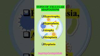 Types Of Cellular Adaptation  Pathology  Ritu Maam ytviral nursing pathology [upl. by Elahcar]