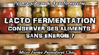 PERMACULTURE amp CONSERVER LES LÉGUMES DU JARDIN POTAGER  LA LACTO FERMENTATION BIO amp NATURELLE [upl. by Trabue]