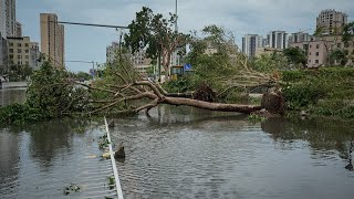 Live Hainan authorities hold press conference on Super Typhoon Yagi [upl. by Ynaffit]