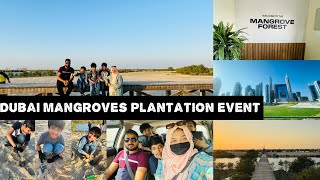 Mangrove forest Dubai jebel AliFree plantation eventFamily fun day out in pleasant weather [upl. by Ardnekat]