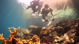 Papua New Guinea Snorkel Trip Coral Reef [upl. by Airel]