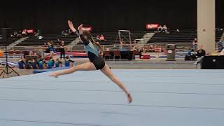 Olivia Schaefer Chows Winter Classic Floor 925 [upl. by Ennagrom755]