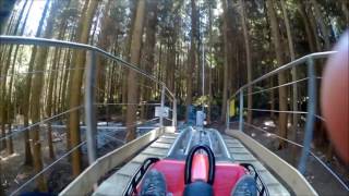 fforest coaster opening day  ZIP WORLD [upl. by Aurore]