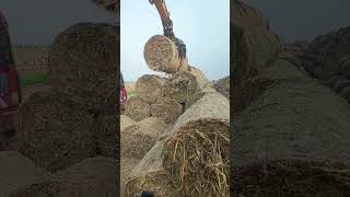 Farm hay rolling process Good tools and machinery make work easy [upl. by Ymij]