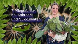 7 Pflegefehler bei Kakteen und Sukkulenten Pflanzenpflege 1x1 [upl. by Ateekram]