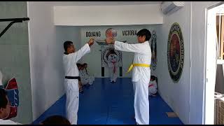 rompimientos tkd [upl. by Allerim]