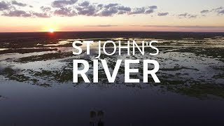 St Johns River  Brevard County Florida [upl. by Cantone]