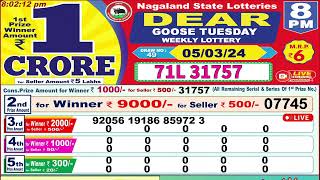 Dear Goose Tuesday Weekly Lottery 8PM 05032024 [upl. by Kelcy717]