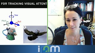 Dora Biro  Scaling up from individual to collective cognition  IPAM at UCLA [upl. by Enohpets]