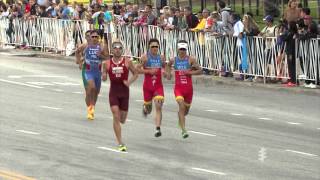 2015 ITU World Triathlon Chicago  Elite Mens Highlights [upl. by Rohclem14]