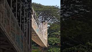 Malampuzha malampuzha nature dam water boating tourism [upl. by Haida]