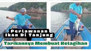 Suka Sekali Dengan Spot Mancing Ini Selalu Ada Perlawanan [upl. by Entwistle636]