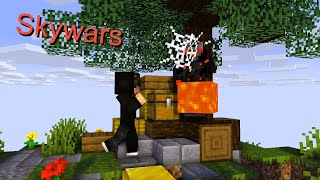 Skywars Auf Gomme [upl. by Nitsirk]