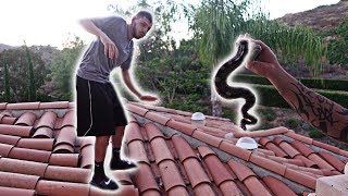 INSANE SNAKE PRANK ON MY BROTHER CRAZY FREAKOUT  FaZe Rug [upl. by Lotsirk]