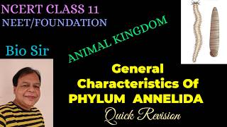 Phylum Annelida  Animal Kingdom  Diversity in Living Organisms  Biology NCERT [upl. by Frannie552]