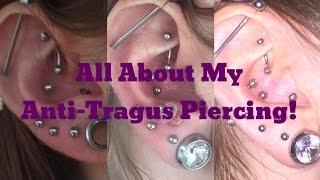 Antitragus Piercing FAQs amp 4 Month Update [upl. by Evy397]