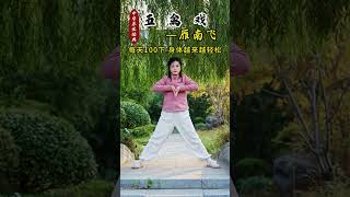 Taichi Exercise qigong taichi kungfu [upl. by Atronna]