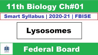 Lysosomes Class 11 Biology  lysosomes structure and function  Ilmi Stars Academy [upl. by Lieberman]