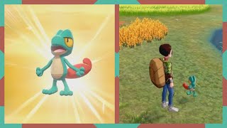 Shiny Treecko after 374 eggs  Pokemon Sword amp Shield [upl. by Ludovika]