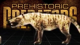 Prehistoric Predators  Hyaenodon horridus [upl. by Une]