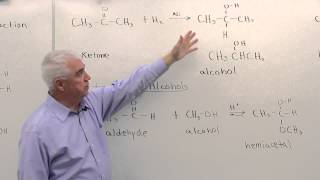 Reactions of Aldehydes amp Ketones [upl. by Llerrem]