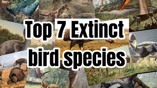 Top 7 Extinct bird species [upl. by Ettari]