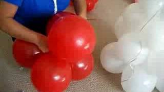 balloon mushroomCOGUMELO COM BALOES [upl. by Analed722]