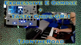 Expressive E Osmose  Tasty Chips GR1 MPE Demo [upl. by Reffinnej971]