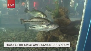 Great American Outdoor Show has live fishing exhibits [upl. by Kcirdehs]