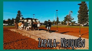 ZAPALA  NEUQUÉN 🏔️🌎🇦🇷 DRONE MINI MAVIC 2 [upl. by Atiuqrahs]