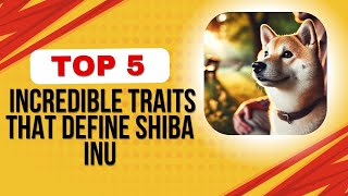 5 Incredible Traits That Define Shiba Inu [upl. by Enala]