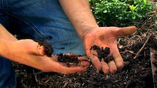 Building Healthier Soils [upl. by Aliuqehs]