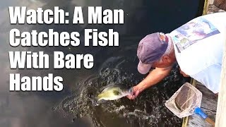 Watch A Man Catches Fish With Bare Hands [upl. by Siffre]