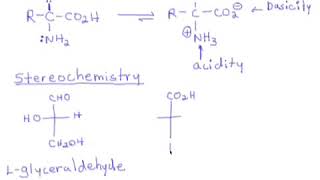 89 Amino Acids Introduction  Stereochemistry amp Nomenclature [upl. by Dachia]