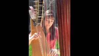 Annes Theme  Theme Song From Anne of Green Gables on harp [upl. by Hultin927]