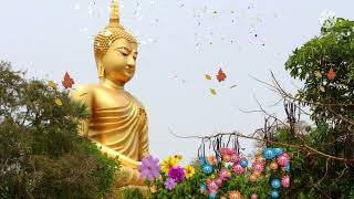 💐💐 Buddham Saranam Gacchami 💐💐Buddha Effects Video  Buddha  Meditation [upl. by Amsirahc]